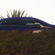 Image for article titled Top Half Of Chevy Volt Revealed On Transformers 2 Set